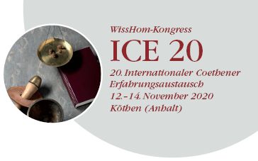 ICE20_Logo
